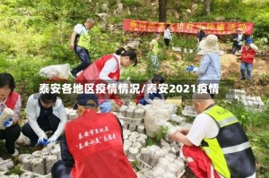 泰安各地区疫情情况/泰安2021疫情