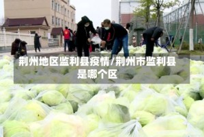 荆州地区监利县疫情/荆州市监利县是哪个区