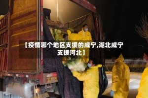 【疫情哪个地区支援的咸宁,湖北咸宁支援河北】