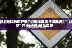 开挂辅助神器“小程序途游斗地主透视”开挂(透视)辅助教程