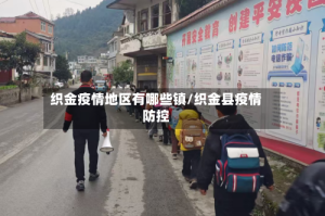 织金疫情地区有哪些镇/织金县疫情防控