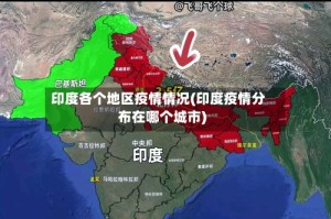 印度各个地区疫情情况(印度疫情分布在哪个城市)