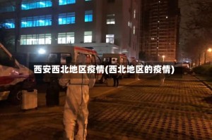 西安西北地区疫情(西北地区的疫情)