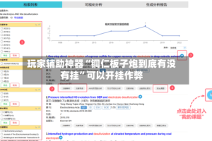玩家辅助神器“铜仁板子炮到底有没有挂”可以开挂作弊