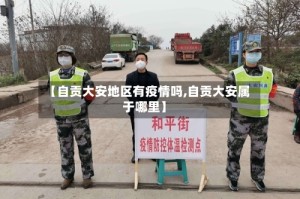 【自贡大安地区有疫情吗,自贡大安属于哪里】