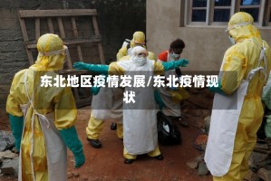 东北地区疫情发展/东北疫情现状