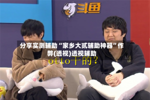 分享实测辅助“家乡大贰辅助神器”作弊(透视)透视辅助