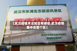【武汉疫情关注地区有哪些,武汉疫情集中在哪个区】