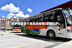 拉萨支援哪个地区的疫情(援藏拉萨)