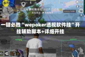 一键必胜“wepoker透视软件挂”开挂辅助脚本+详细开挂
