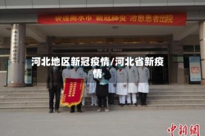 河北地区新冠疫情/河北省新疫情