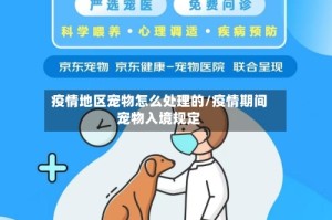 疫情地区宠物怎么处理的/疫情期间宠物入境规定