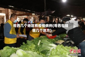 粤西几个地区有疫情病例(粤西包括哪几个地方)