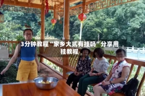 3分钟教程“家乡大贰有挂吗”分享用挂教程