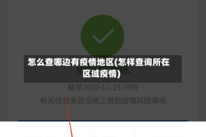 怎么查哪边有疫情地区(怎样查询所在区域疫情)