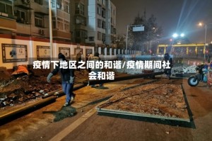 疫情下地区之间的和谐/疫情期间社会和谐