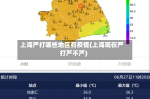 上海严打哪些地区有疫情(上海现在严打严不严)