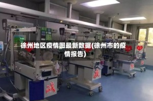 徐州地区疫情图最新数据(徐州市的疫情报告)