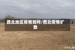 西北地区疫情如何/西北疫情扩散