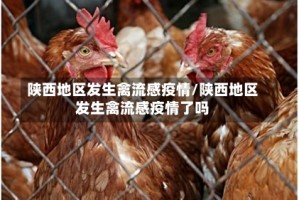 陕西地区发生禽流感疫情/陕西地区发生禽流感疫情了吗
