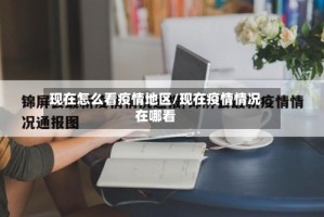 现在怎么看疫情地区/现在疫情情况在哪看