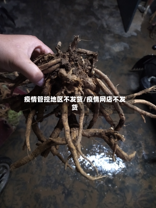 疫情管控地区不发货/疫情网店不发货-第1张图片