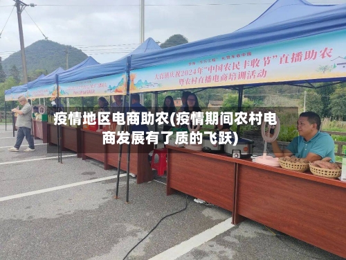 疫情地区电商助农(疫情期间农村电商发展有了质的飞跃)-第1张图片