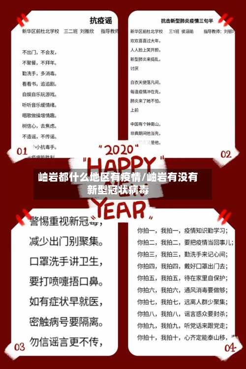 岫岩都什么地区有疫情/岫岩有没有新型冠状病毒-第2张图片