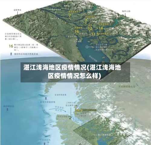 湛江浅海地区疫情情况(湛江浅海地区疫情情况怎么样)-第1张图片