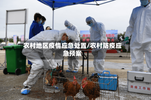 农村地区疫情应急处置/农村防疫应急预案-第3张图片