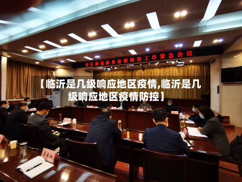 【临沂是几级响应地区疫情,临沂是几级响应地区疫情防控】-第1张图片