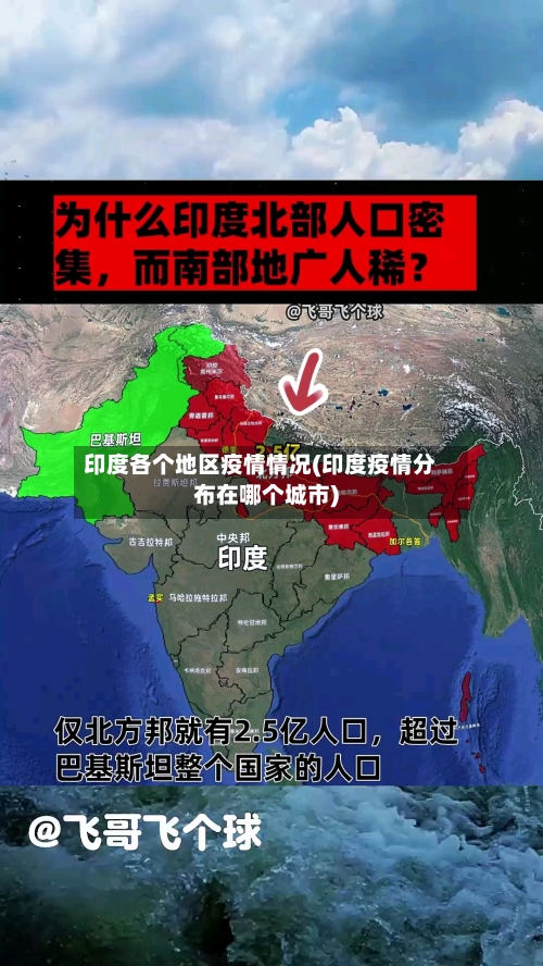 印度各个地区疫情情况(印度疫情分布在哪个城市)-第1张图片