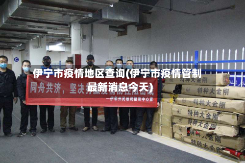 伊宁市疫情地区查询(伊宁市疫情管制最新消息今天)-第2张图片
