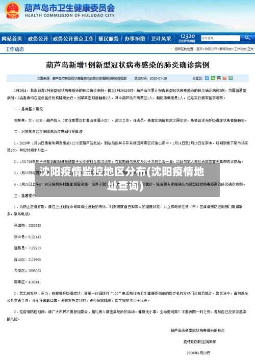 沈阳疫情监控地区分布(沈阳疫情地址查询)-第1张图片