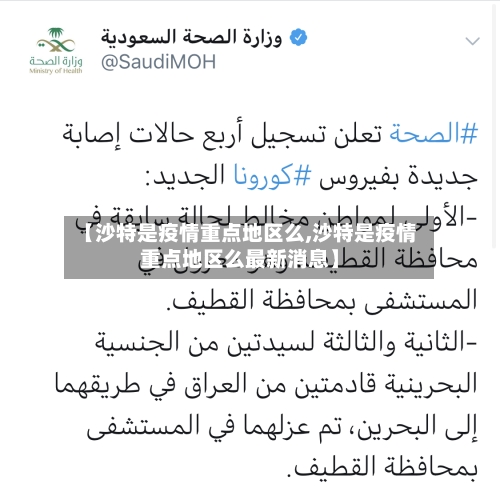 【沙特是疫情重点地区么,沙特是疫情重点地区么最新消息】-第3张图片