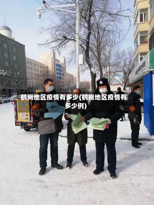 鹤岗地区疫情有多少(鹤岗地区疫情有多少例)-第3张图片