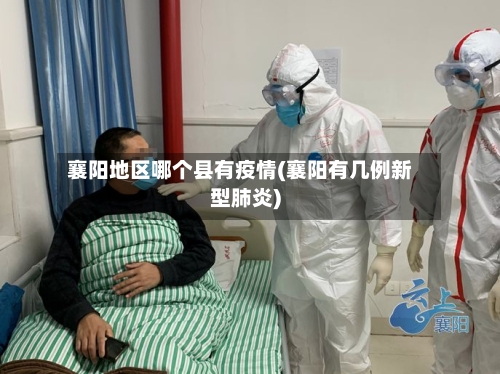 襄阳地区哪个县有疫情(襄阳有几例新型肺炎)-第2张图片