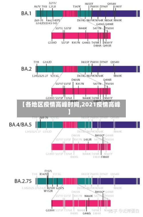 【各地区疫情高峰时间,2021疫情高峰】-第2张图片
