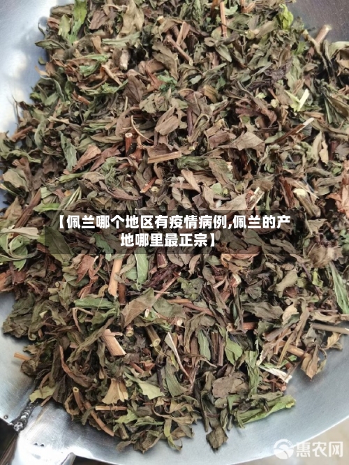 【佩兰哪个地区有疫情病例,佩兰的产地哪里最正宗】-第1张图片