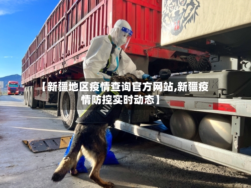 【新疆地区疫情查询官方网站,新疆疫情防控实时动态】-第3张图片