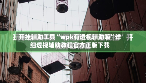 开挂辅助工具“wpk有透视辅助嘛	”详细透视辅助教程官方正版下载-第1张图片
