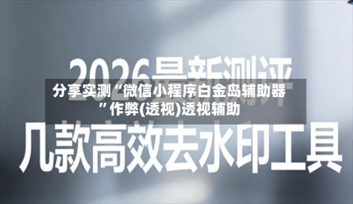 分享实测“微信小程序白金岛辅助器”作弊(透视)透视辅助-第1张图片