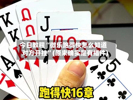 今日教程“微乐跑得快怎么知道对方开挂	”(原来确实是有插件)-第2张图片