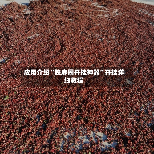 应用介绍“陕麻圈开挂神器”开挂详细教程-第1张图片