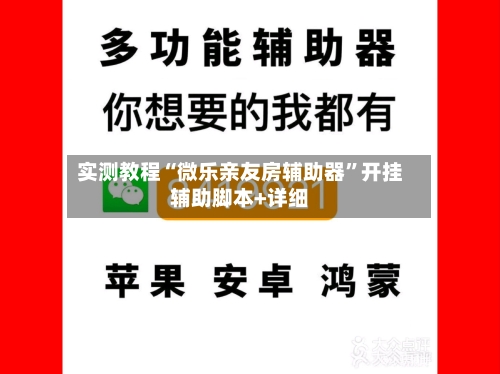 实测教程“微乐亲友房辅助器”开挂辅助脚本+详细-第3张图片