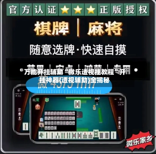 万能开挂辅助“微乐透视挂教程	”开挂神器{透视辅助}全揭秘-第2张图片