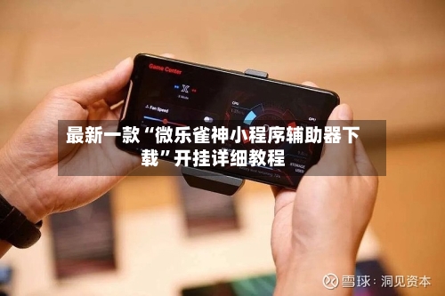 最新一款“微乐雀神小程序辅助器下载”开挂详细教程-第3张图片