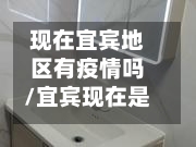 现在宜宾地区有疫情吗/宜宾现在是否已经封城了-第2张图片