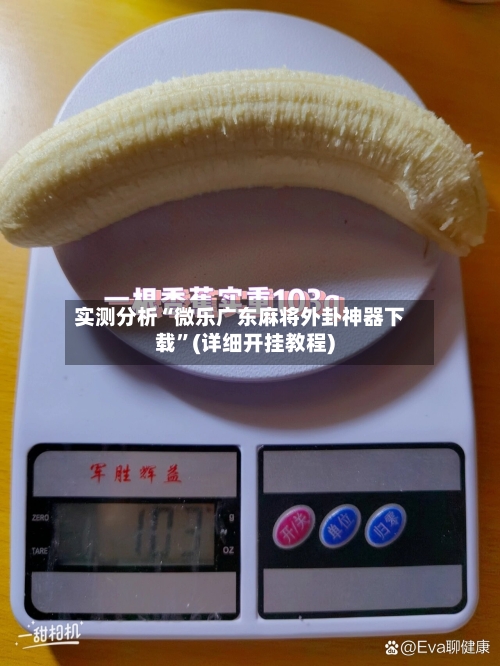 实测分析“微乐广东麻将外卦神器下载	”(详细开挂教程)-第2张图片