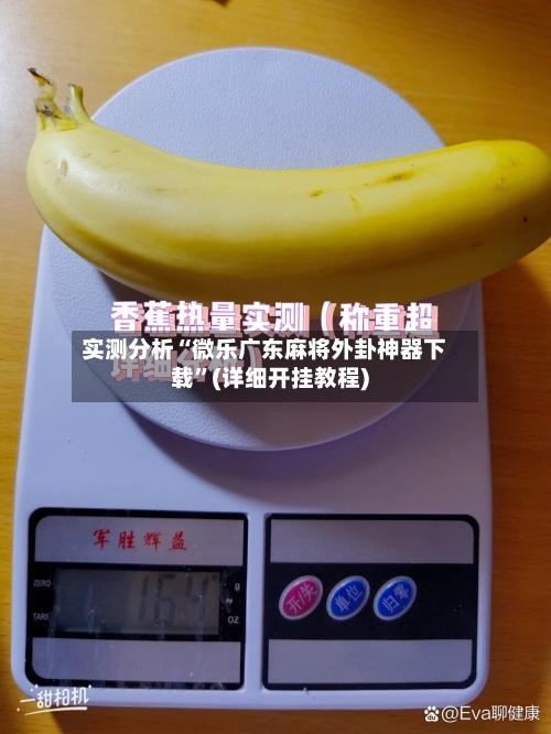 实测分析“微乐广东麻将外卦神器下载”(详细开挂教程)-第3张图片